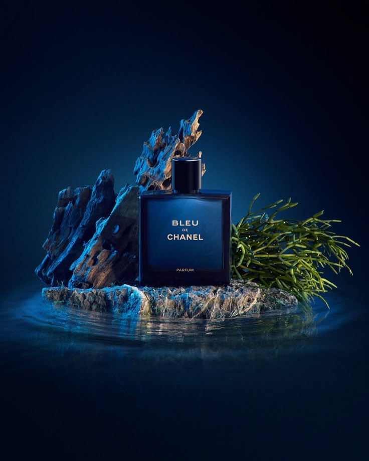 Bleu De Chanel